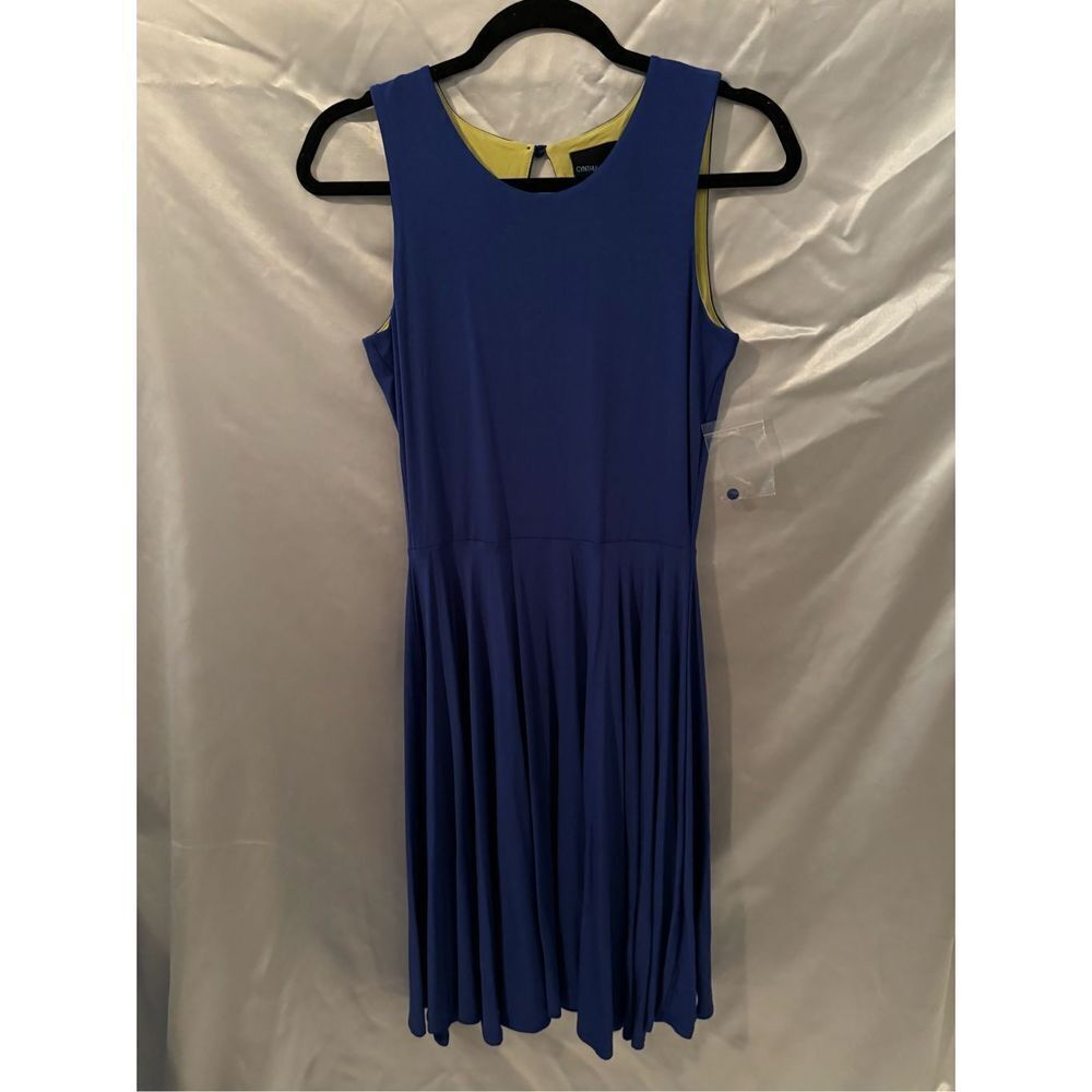 Blue Cynthia Rowley Dress